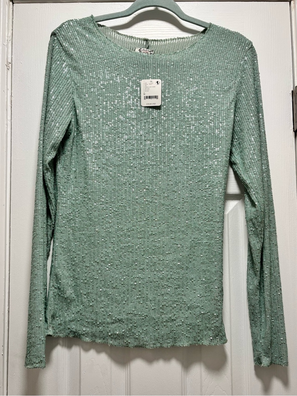 Free People Mint Sequin Long Sleeve Top